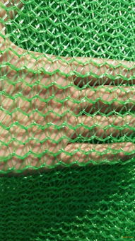 绿色3针工地盖土网 实体厂家直销的高效防尘解决方案